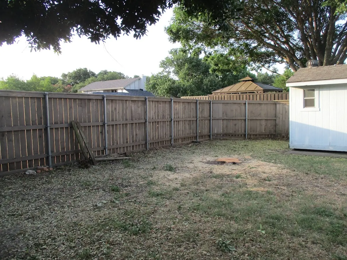 Cleared yard after professional tree removal in Calistoga